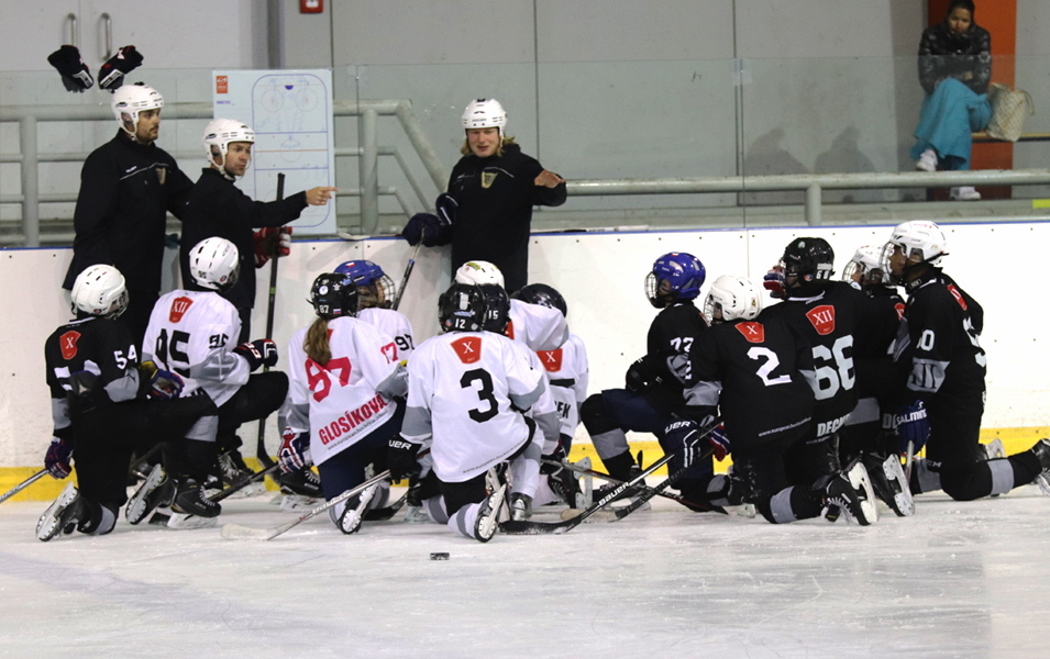 Complete coaches commission of EHA in action. Brno