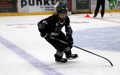 National Try-Out Denmark - SE Arena, Vojens